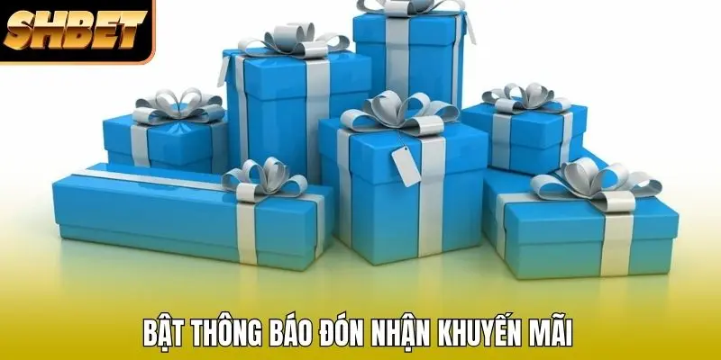 Bật thông báo đón nhận khuyến mãi Bật thông báo đón nhận khuyến mãi