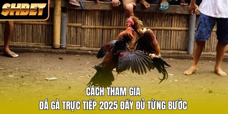 1 Cách Tham Gia Đá Gà Trực Tiếp 2026 Đầy Đủ Từng Bước Cách Tham Gia Đá Gà Trực Tiếp 2026 Đầy Đủ Từng Bước