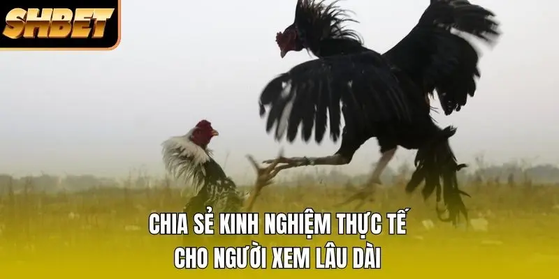 Chia sẻ kinh nghiệm thực tế cho người xem lâu dài Chia sẻ kinh nghiệm thực tế cho người xem lâu dài