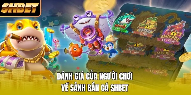 Đánh giá của người chơi về sảnh bắn cá SHBET Đánh giá của người chơi về sảnh bắn cá SHBET