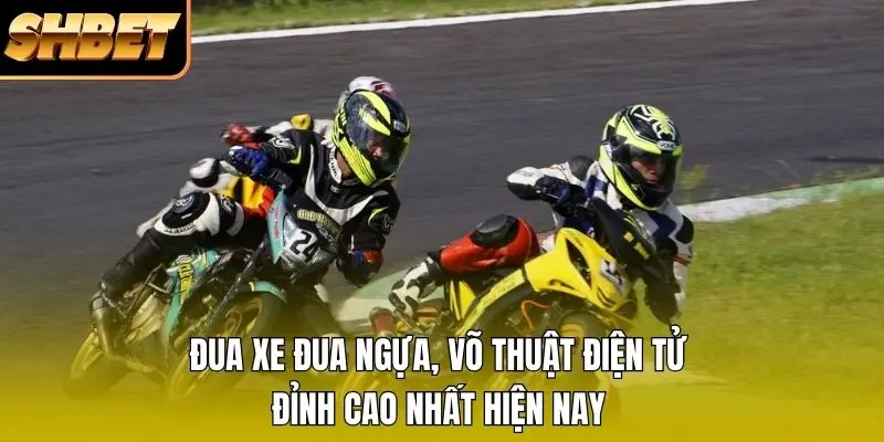 Đua xe đua ngựa, võ thuật điện tử đỉnh cao nhất hiện nay Đua xe đua ngựa, võ thuật điện tử đỉnh cao nhất hiện nay