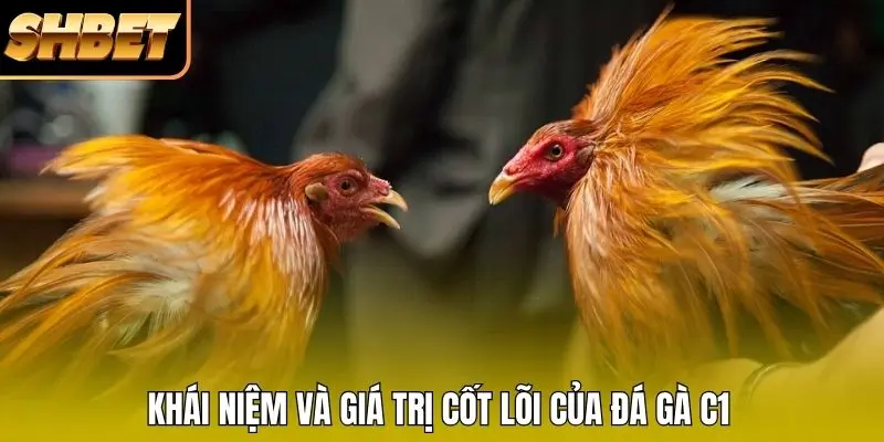 Khái niệm và giá trị cốt lõi của đá gà C1 Khái niệm và giá trị cốt lõi của đá gà C1