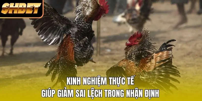 Kinh nghiệm thực tế giúp giảm sai lệch trong nhận định Kinh nghiệm thực tế giúp giảm sai lệch trong nhận định