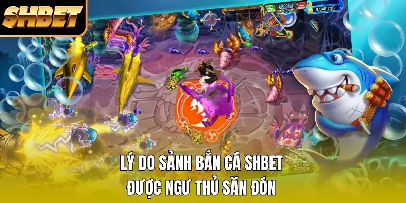 Lý do sảnh bắn cá SHBET được ngư thủ săn đón Lý do sảnh bắn cá SHBET được ngư thủ săn đón