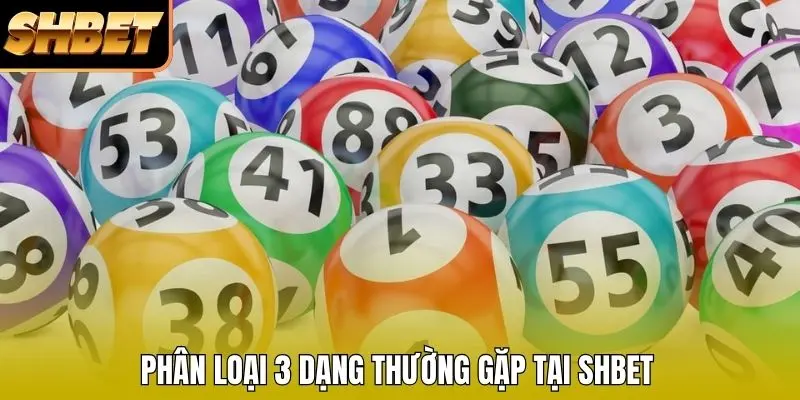 Phân loại 3 dạng thường gặp tại SHBET Phân loại 3 dạng thường gặp tại SHBET
