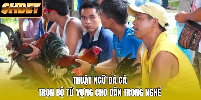 1 Thuật Ngữ Đá Gà - Trọn Bộ Từ Vựng Cho Dân Trong Nghề Thuật Ngữ Đá Gà - Trọn Bộ Từ Vựng Cho Dân Trong Nghề