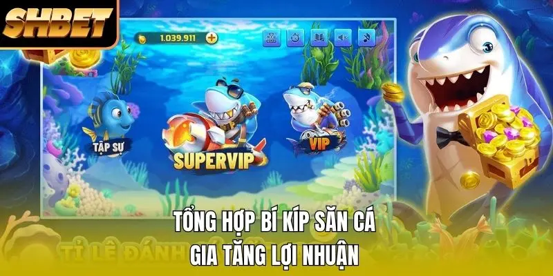Tổng hợp bí kíp săn cá gia tăng lợi nhuận Tổng hợp bí kíp săn cá gia tăng lợi nhuận
