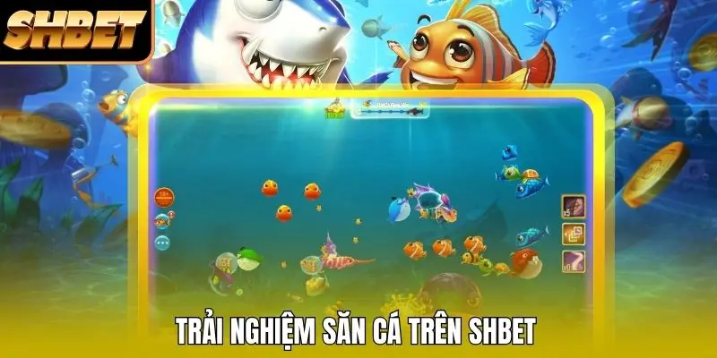 Trải nghiệm săn cá trên SHBET Trải nghiệm săn cá trên SHBET