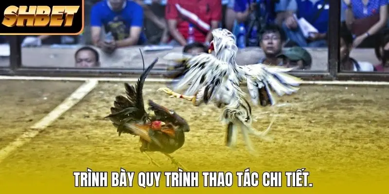 Trình bày quy trình thao tác chi tiết. Trình bày quy trình thao tác chi tiết.